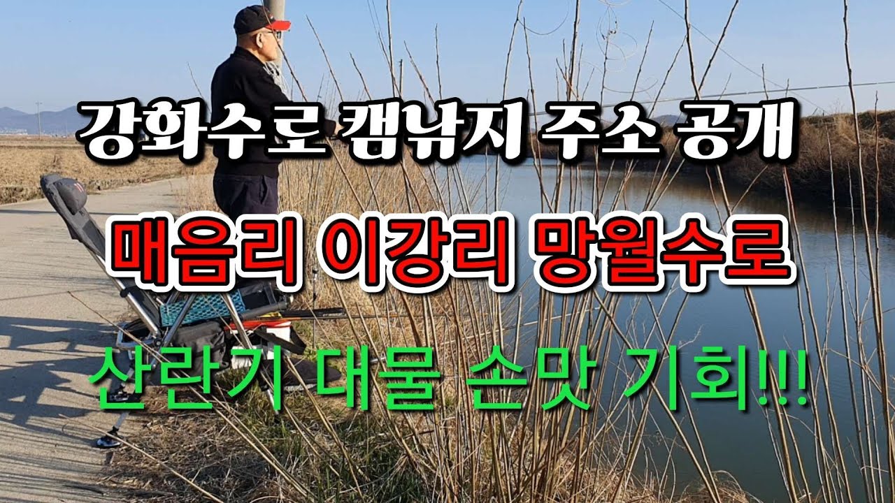 [강화수로 캠낚지 주소 공개]매음리수로*이강리수로*망월수로*산란기 대물 손맛 기회 #수로낚시 #강화도여행 #망월수로 #노지낚시터
