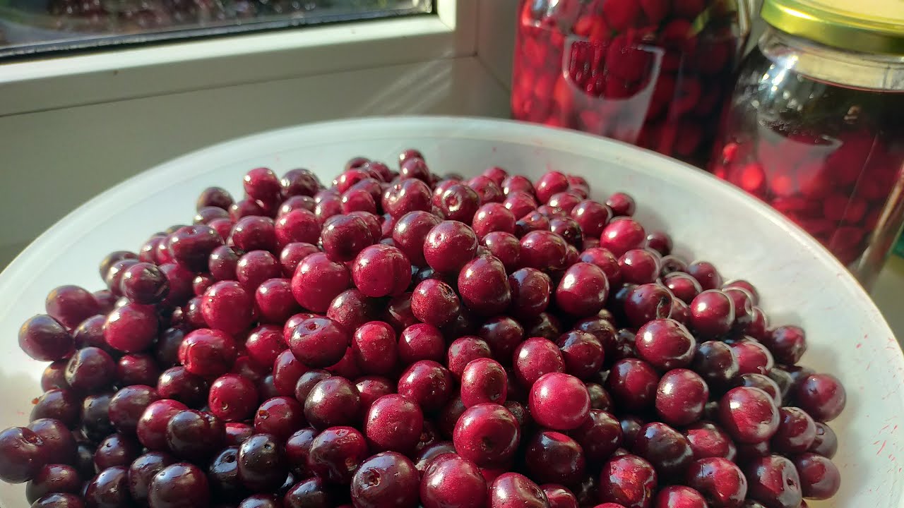 🍒Wiśniak - miód pitny wiśniowy 🍒- Przepis