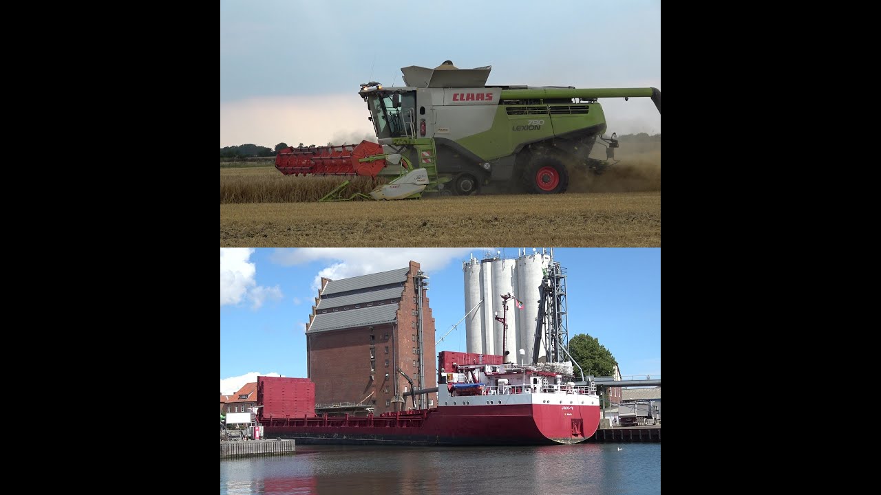 Getreideernte auf Fehmarn und Düngerlieferung per Schiff