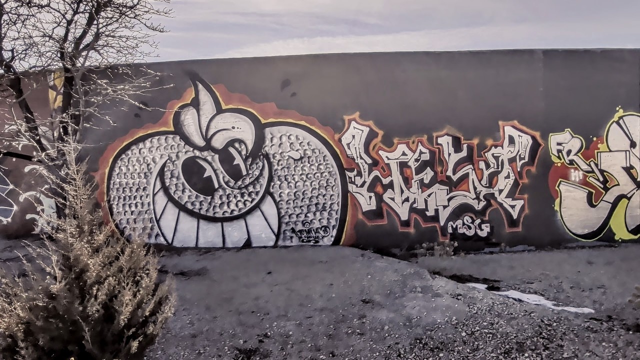 Sightings in Denver Start of 2026