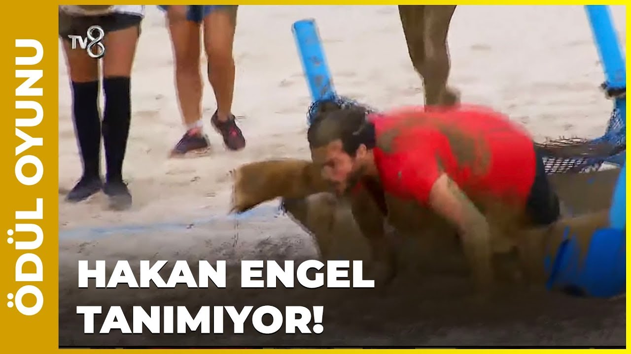 Yıldızlar Yarışı 3. Kısım - Survivor 81. Bölüm