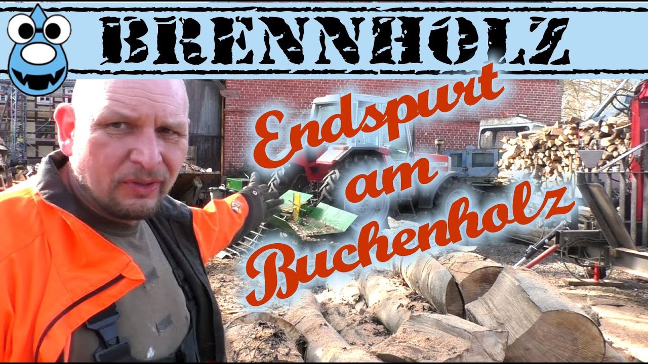 Brennholz, Endspurt am Buchenholz