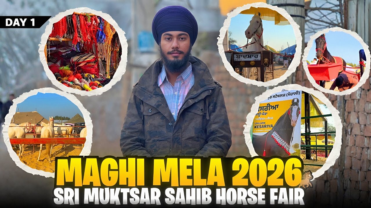PANJAB JAISA SHOK HOR KOI NHI KAR SAKTA🐎❤️ || MAGHI HORSE FAIR 2026 || SRI MUKATSAR SAHIB