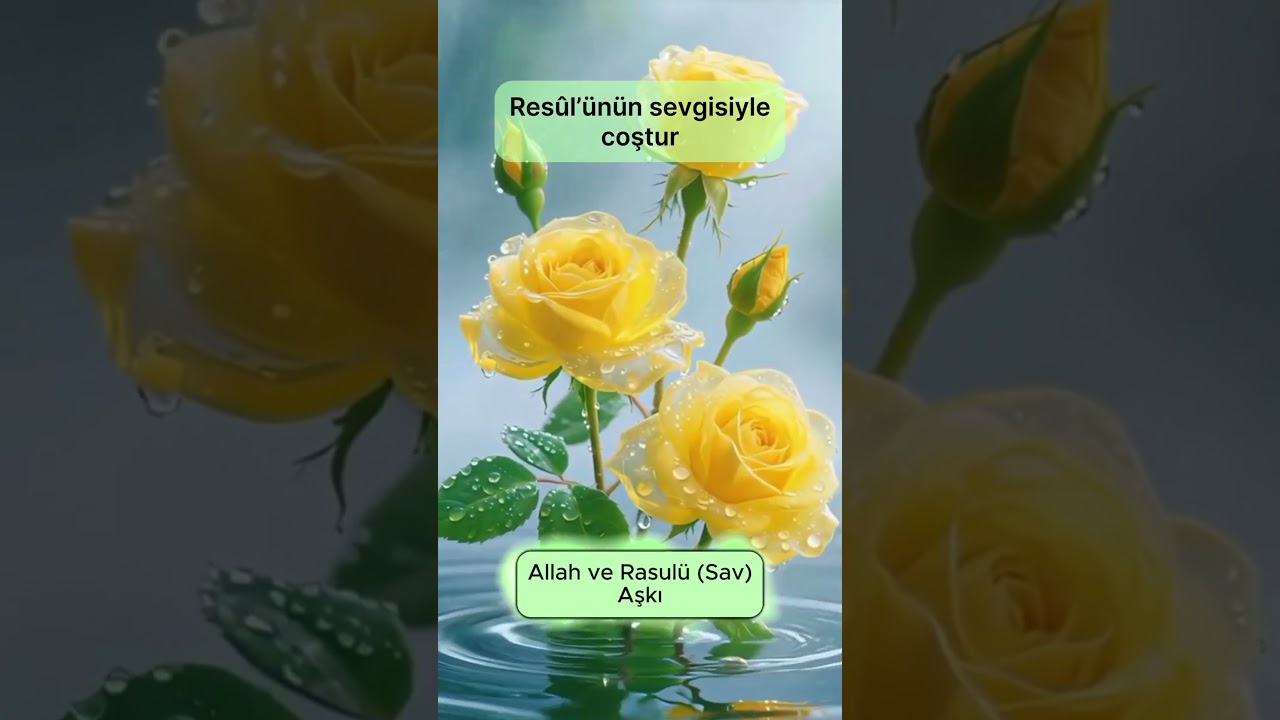Allah ve Rasul&uuml; Sav Aşkı