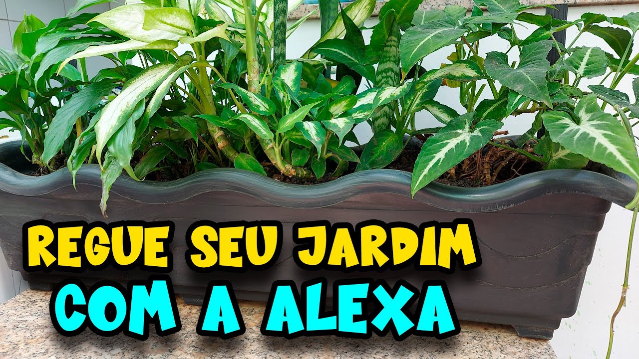 SISTEMA DE IRRIGAÇÃO AUTOMÁTICA USANDO A ALEXA