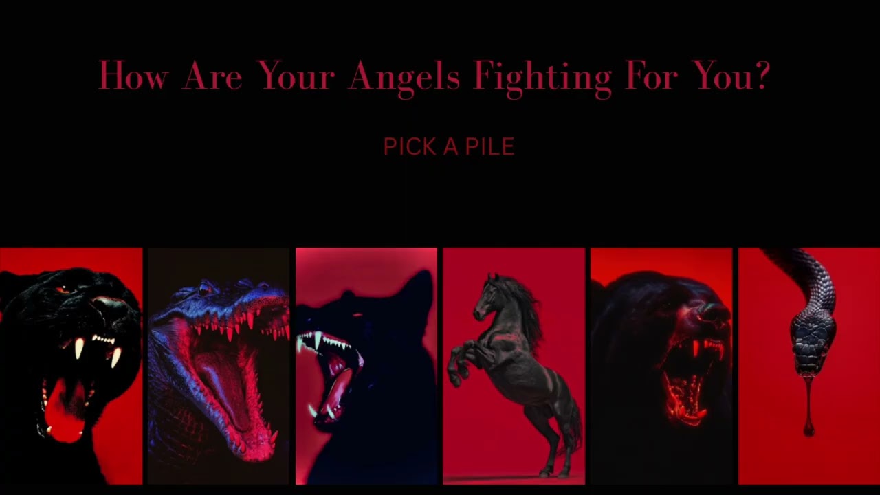 How Are Your Angels Fighting For You ? | PICKAPILE