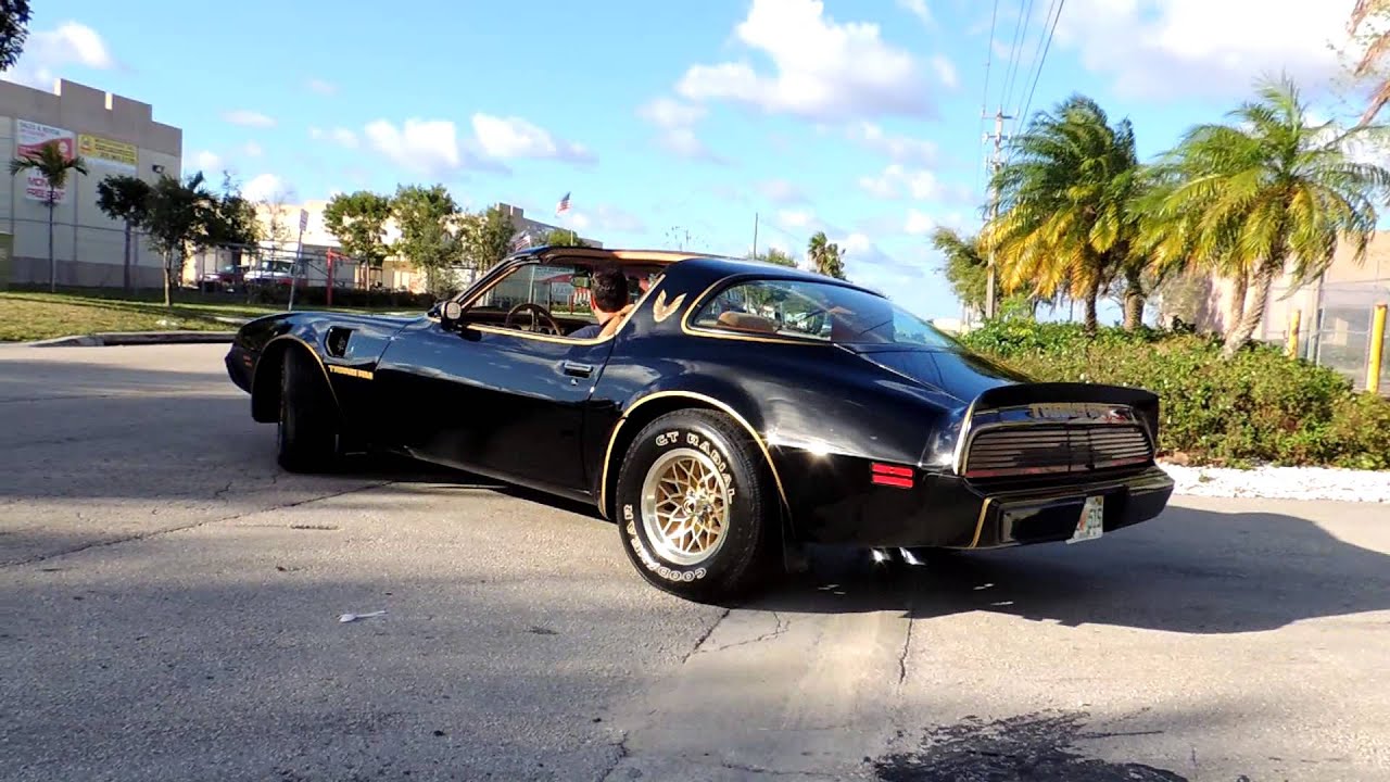 1979 trans am black beast tire shredder Bandit 4 speed