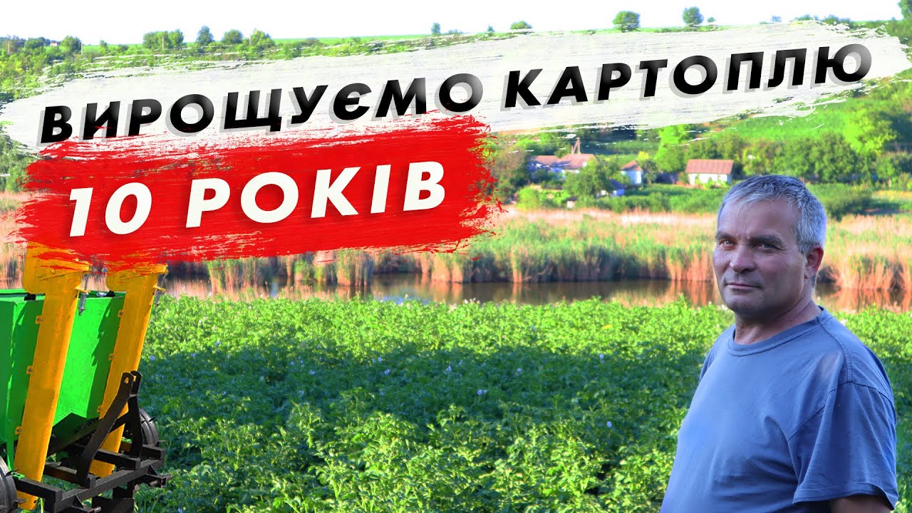 Вирощування картоплі. Досвід більше 10 років. Який сорт?