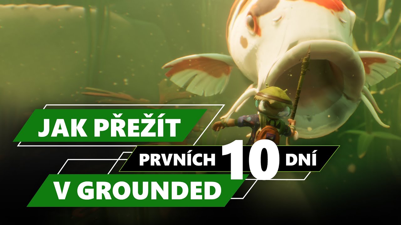 Jak přež&iacute;t prvn&iacute;ch 10 dn&iacute; v Grounded