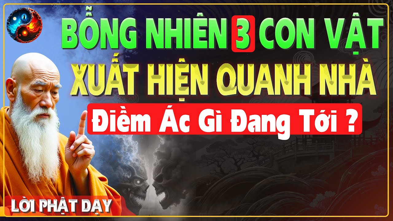 3 CON VẬT Này Xuất Hiện QUANH NHÀ Báo Hiệu ĐIỀM ÁC NẶNG NỀ ĐANG ĐẾN - TRÍ TUỆ CỔ
