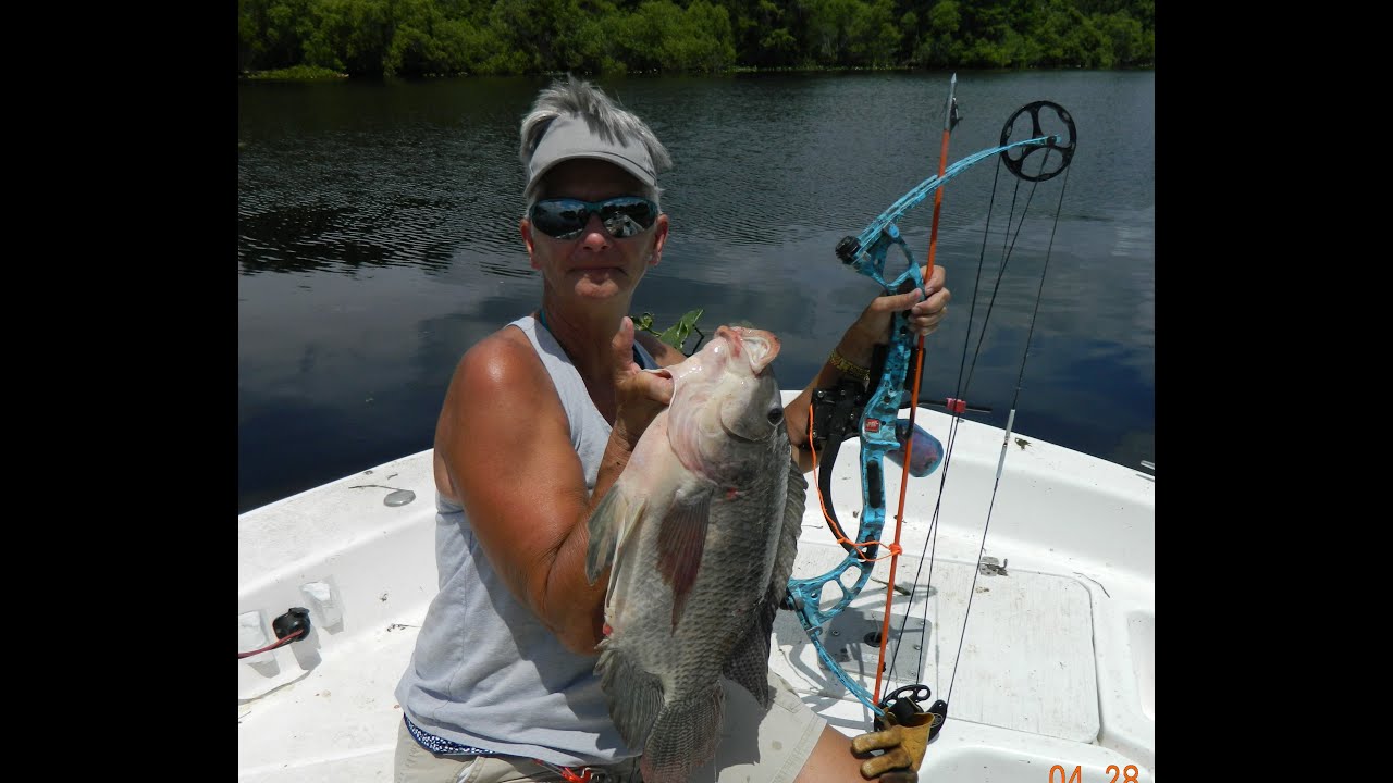 Rodman Dam bowfishing, slamming HUGE Tilapia