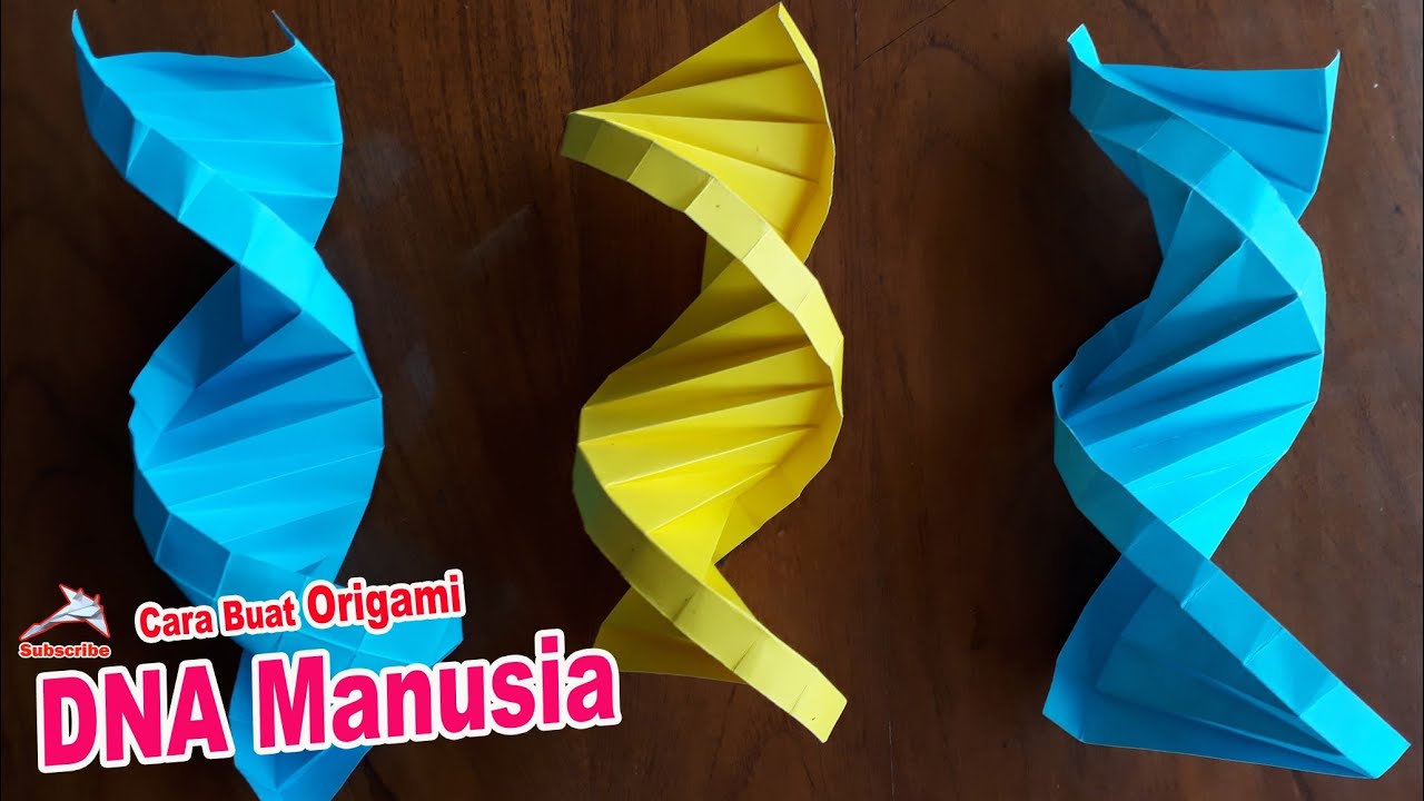 Origami DNA | How To Make Origami Human DNA