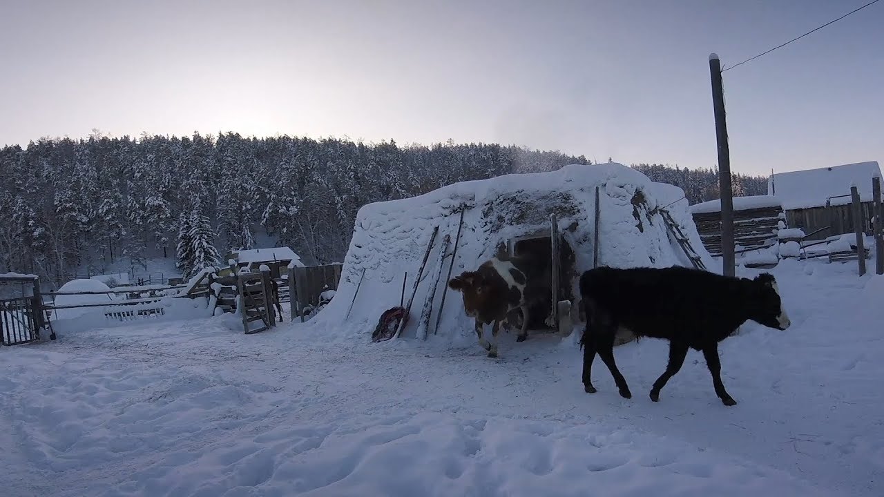 ЯКУТСКАЯ ДЕРЕВНЯ ТЕХТЮР. 22.02.2019. (Одно из первых видео, болтовню можно пропустить, 4 мин)