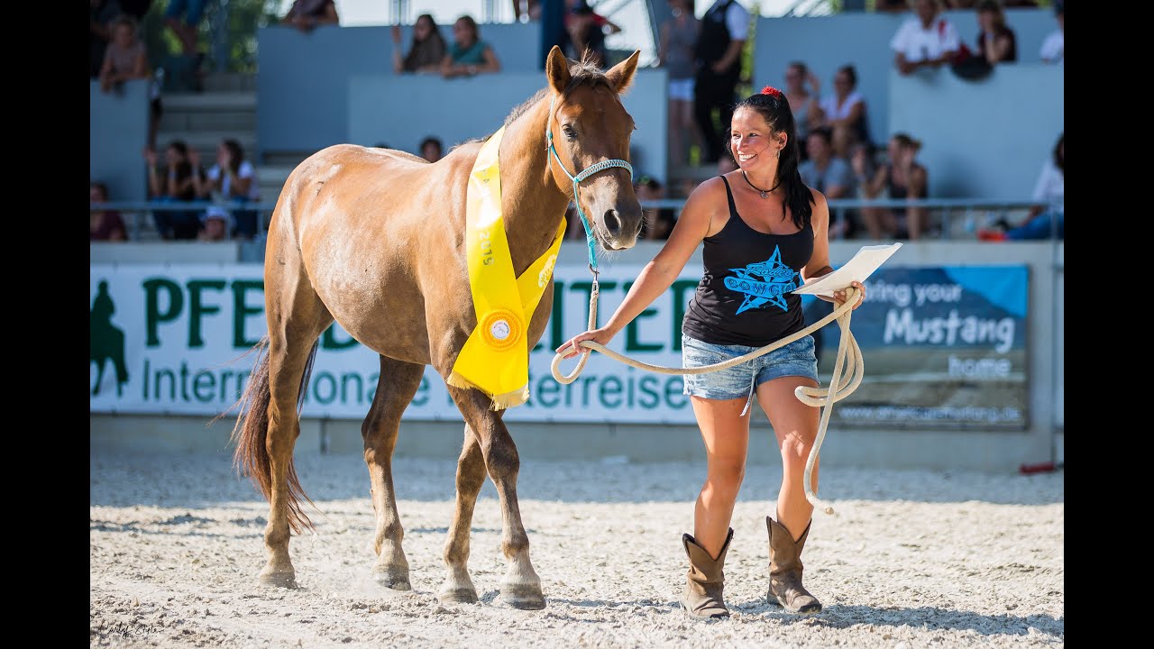 MUSTANG MAKEOVER Champion 2019
