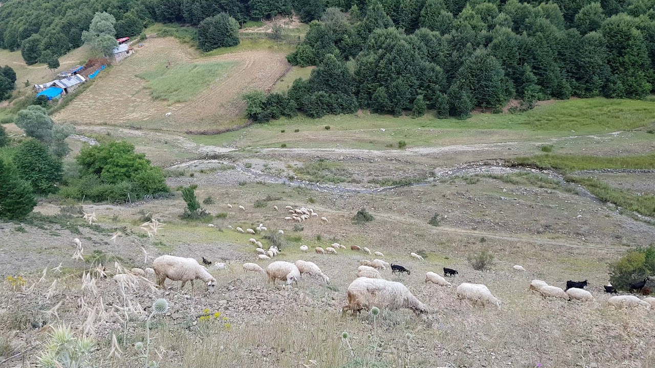 Karalar güney köyü/ Mavga deresi/ Çorum/ osmancık - Ben köyümden göcermiydim #osmancık #çorum