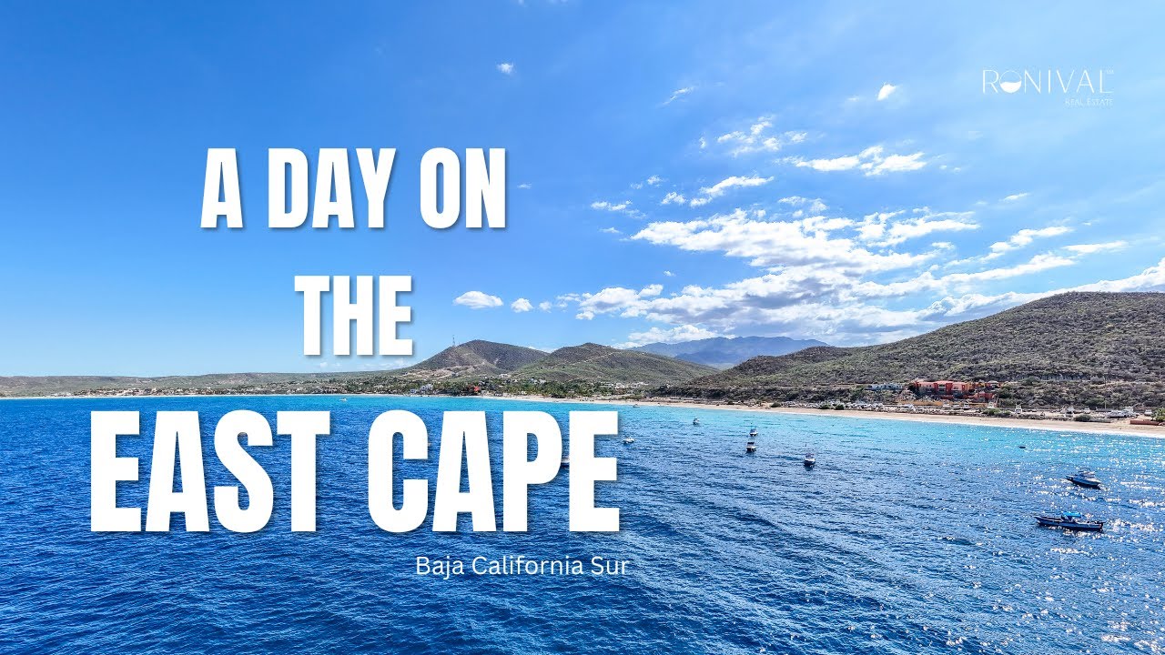 🏝 A day on the East Cape: The Definitive Guide
