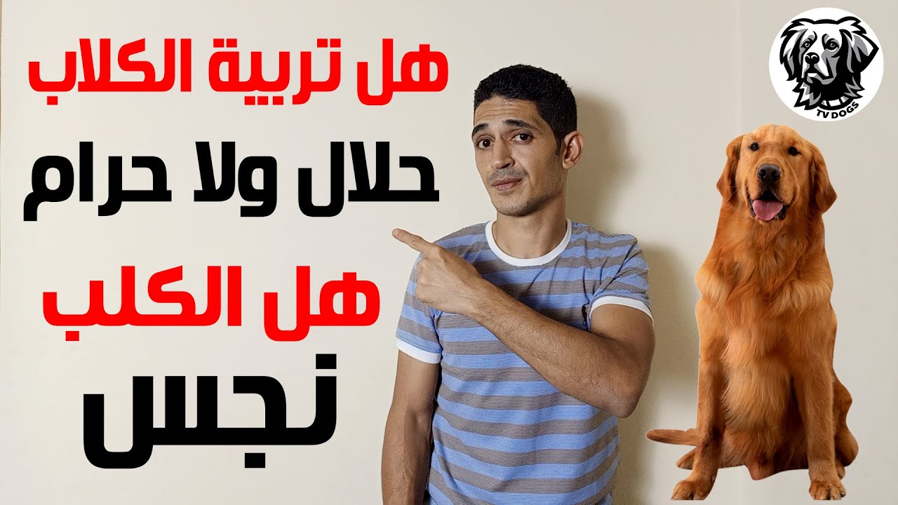 هل تربية الكلاب في المنزل حلال ولا حرام وهل الكلب نجس مع سامر غازي