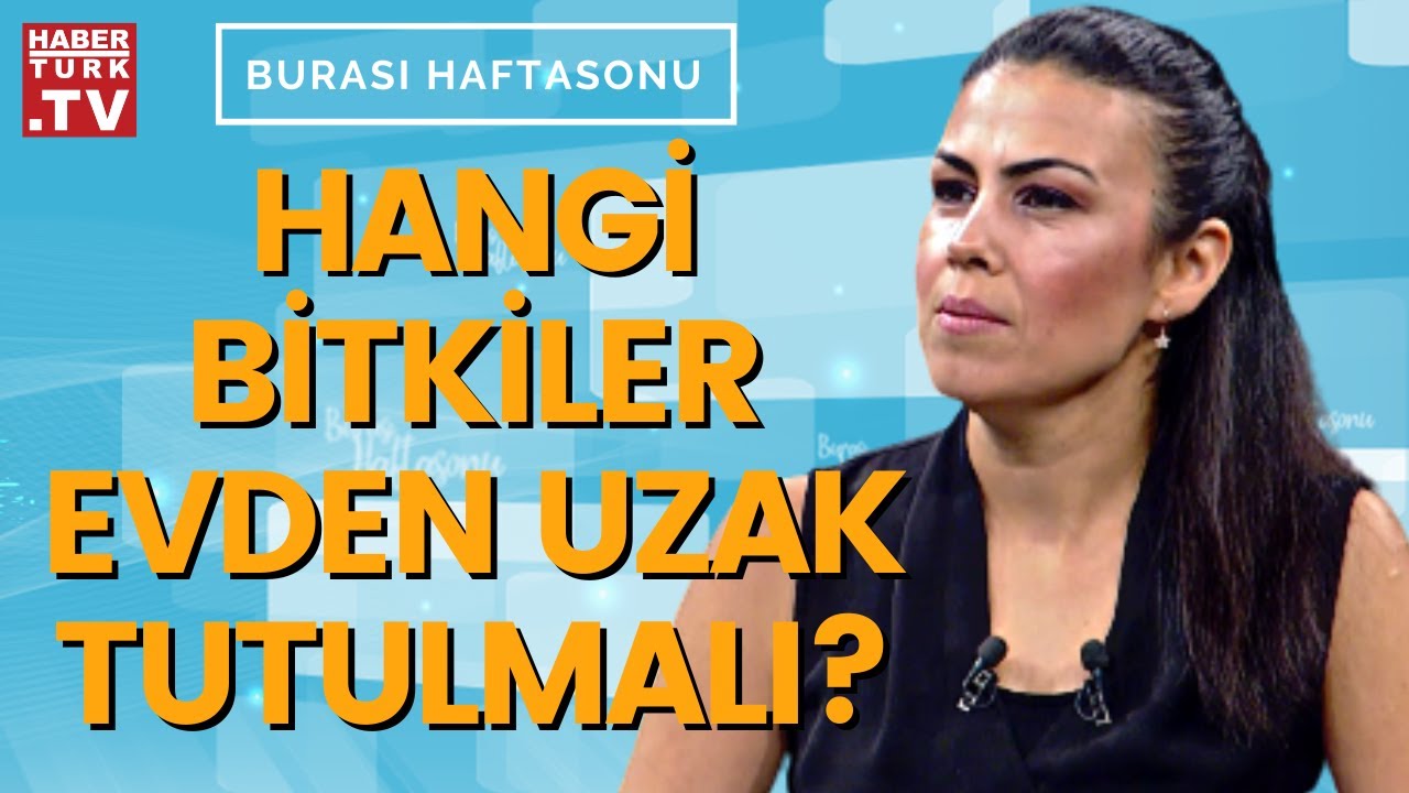 Zehirli ev bitkileri hangileri? Dr. Tuğçe Ağba Sevencan anlattı