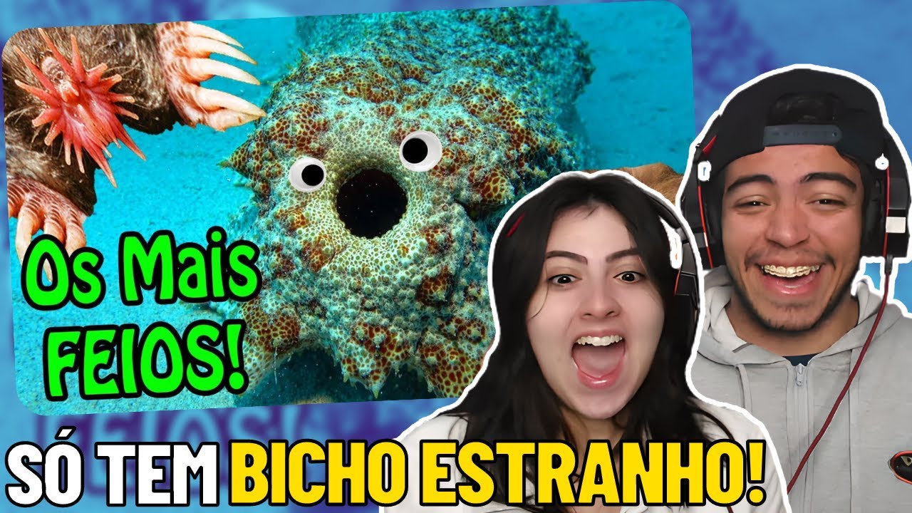 🔴(FALA DE TUDO) Os Bichos mais Estranhos e Bizarros do Mundo! Só Bicho FEIO! | REACT