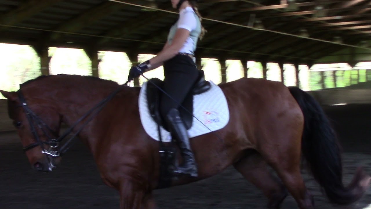 Alhambra Lxxiv Sarah Sharpe Laura Graves Clinic Part 2