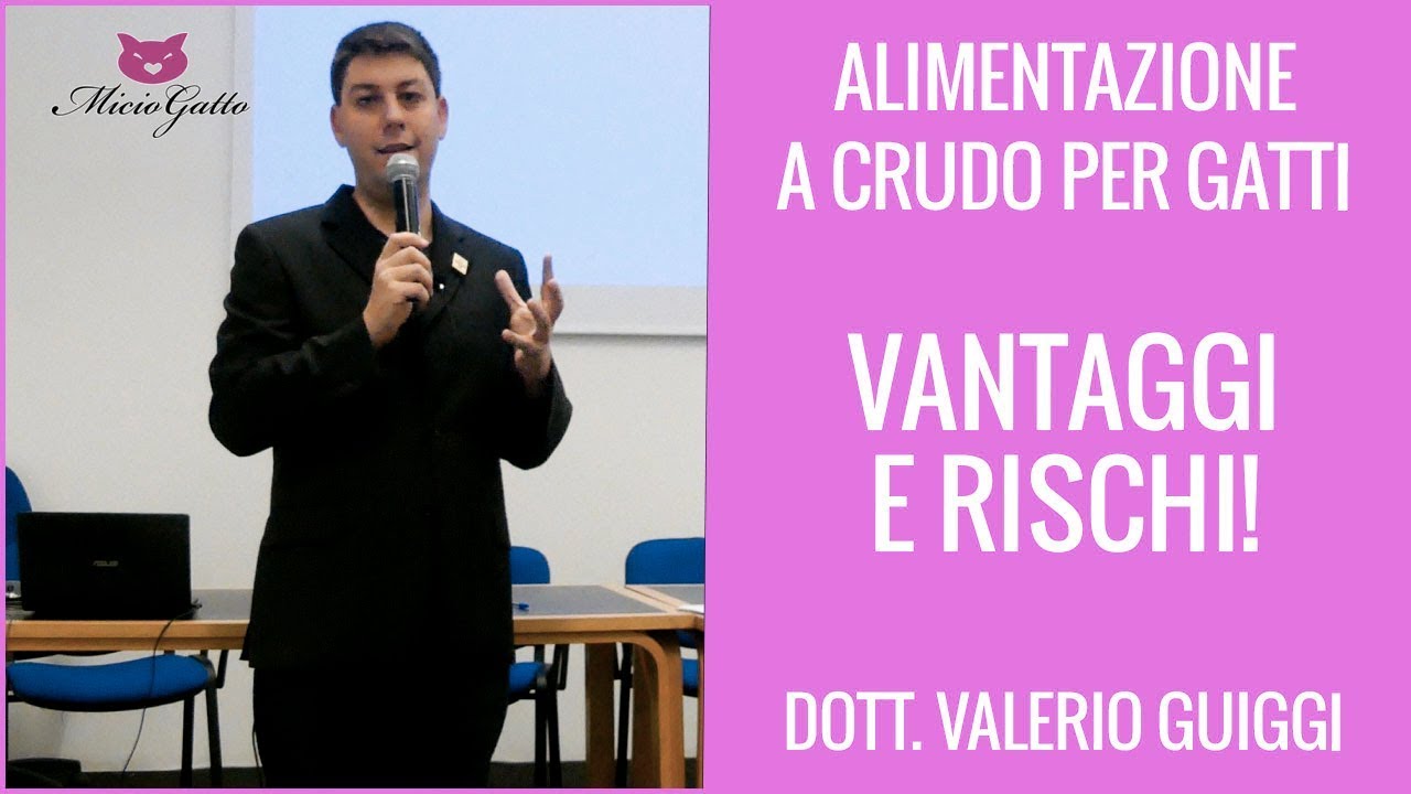 Alimentazione A CRUDO del gatto: il dott. Valerio Guiggi ci spiega tutto!