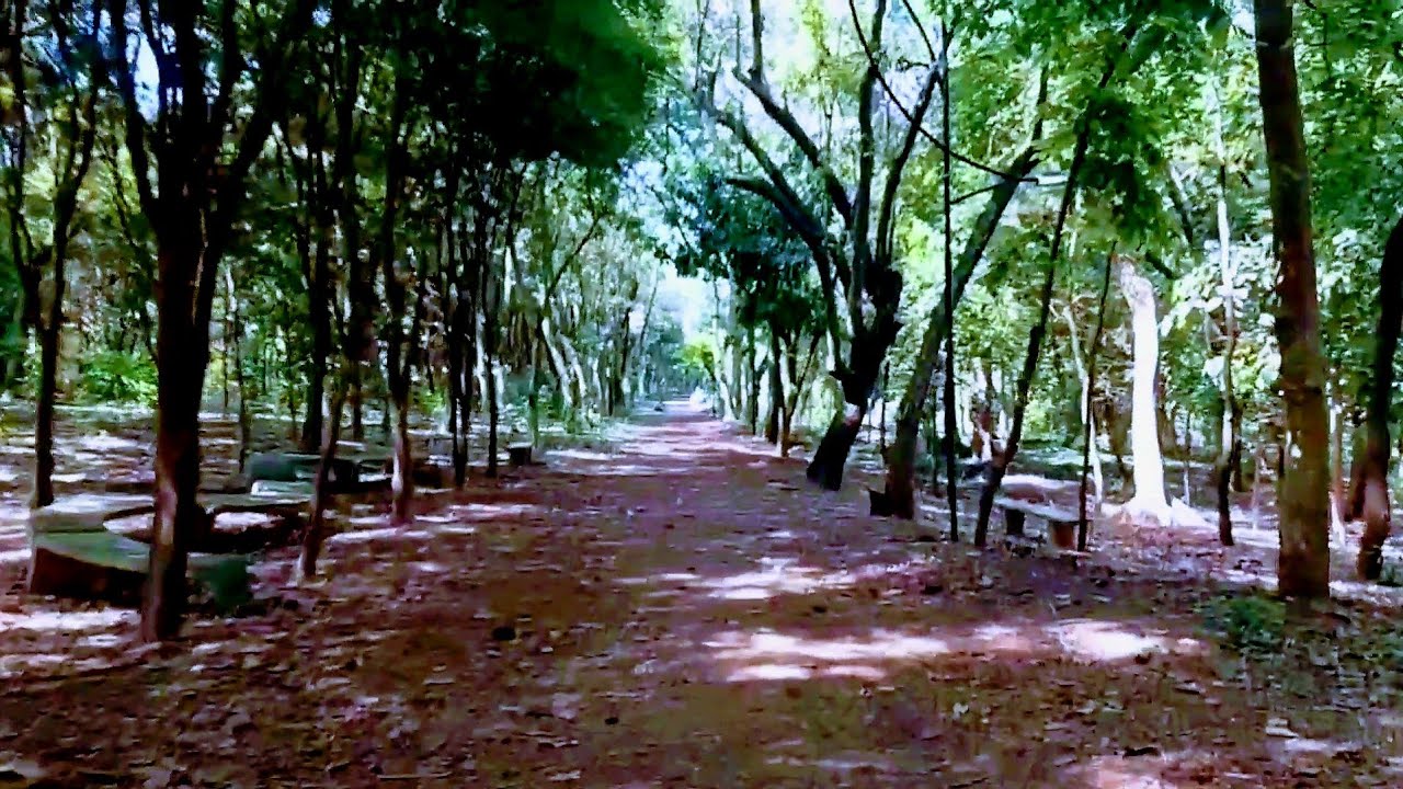 JARDIM BOTÂNICO DE AMERICANA-SP/Parte 2 