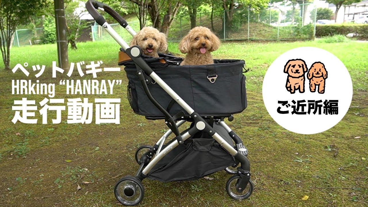 【ペットバギー】近所の色んな道を走ってみる。