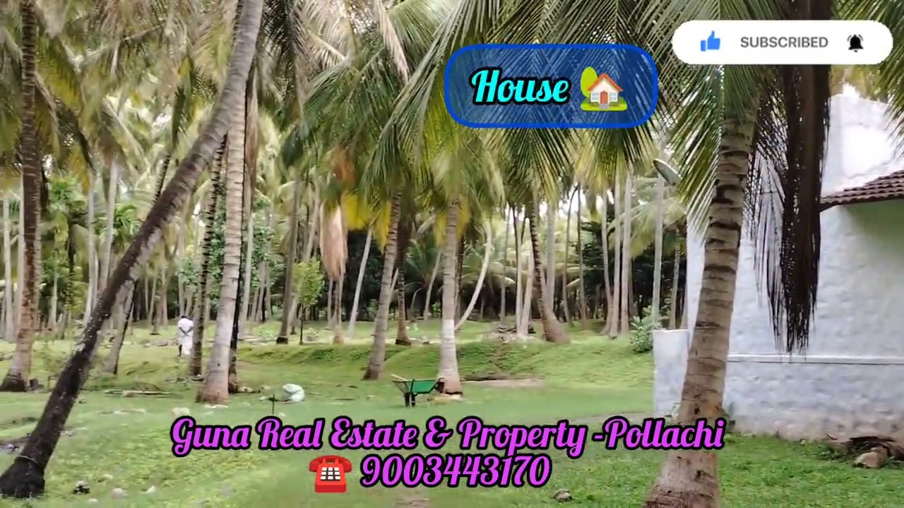 20 Acres of coconut grove for sale near Aliyar next to Pollachi.contact 9003443170