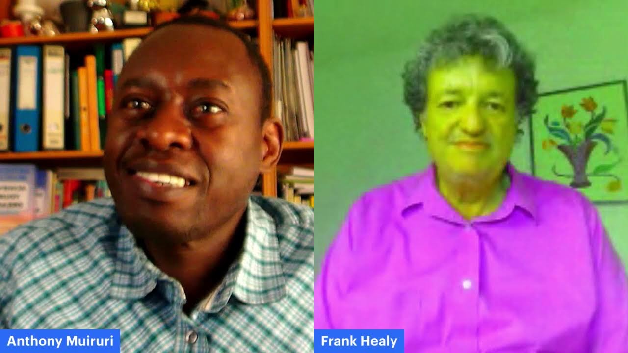 Remember Everything, Everyday - Frank Healy