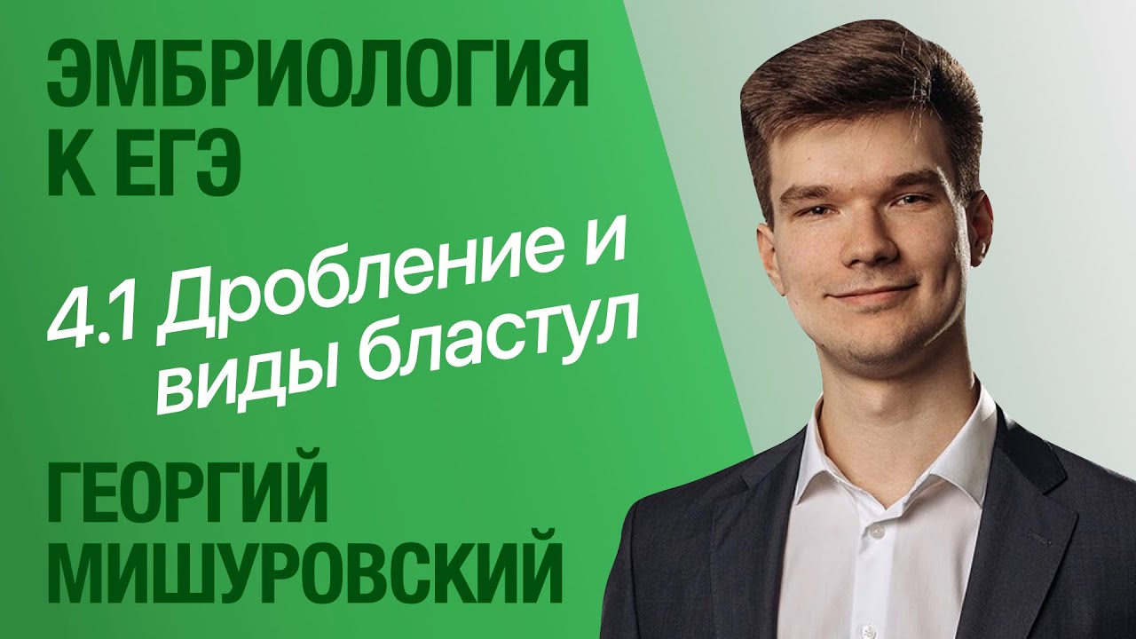 4.1. Дробление и виды бластул | Цитология к ЕГЭ | Георгий Мишуровский