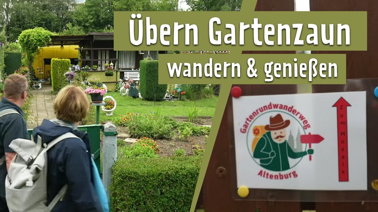 Gartenwanderung quer durch Altenburg: Inspiration aus Kleingärten | MDR Garten