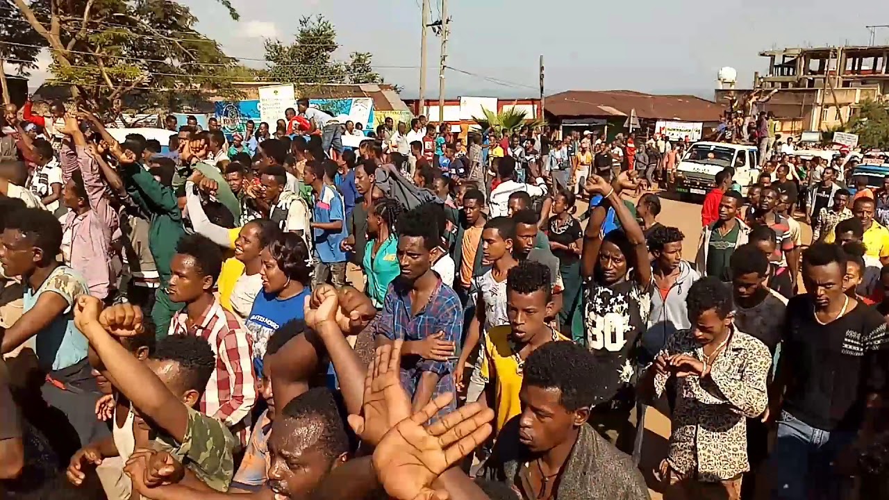 Hiriira Guddaa Magaalaa Gimbii Fulb 13, 2017