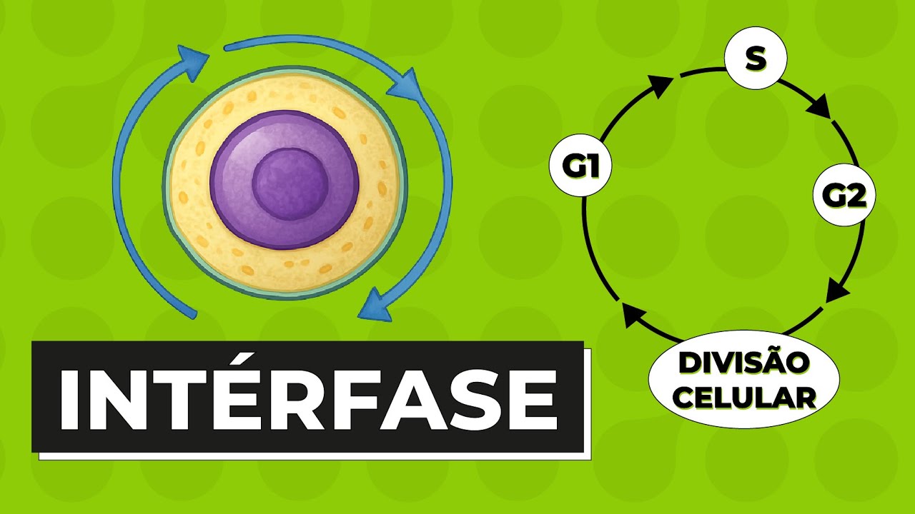 INT&Eacute;RFASE | Resumo de Biologia para o Enem
