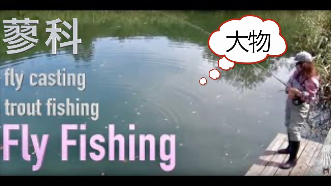 フライフィッシング  管理釣り場  フライリゾート蓼科   vlog Fly Fishing JAPAN