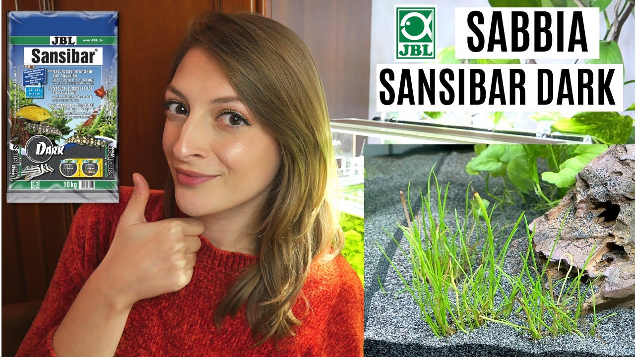 Tutto sulla SABBIA SANSIBAR DARK di JBL 💦