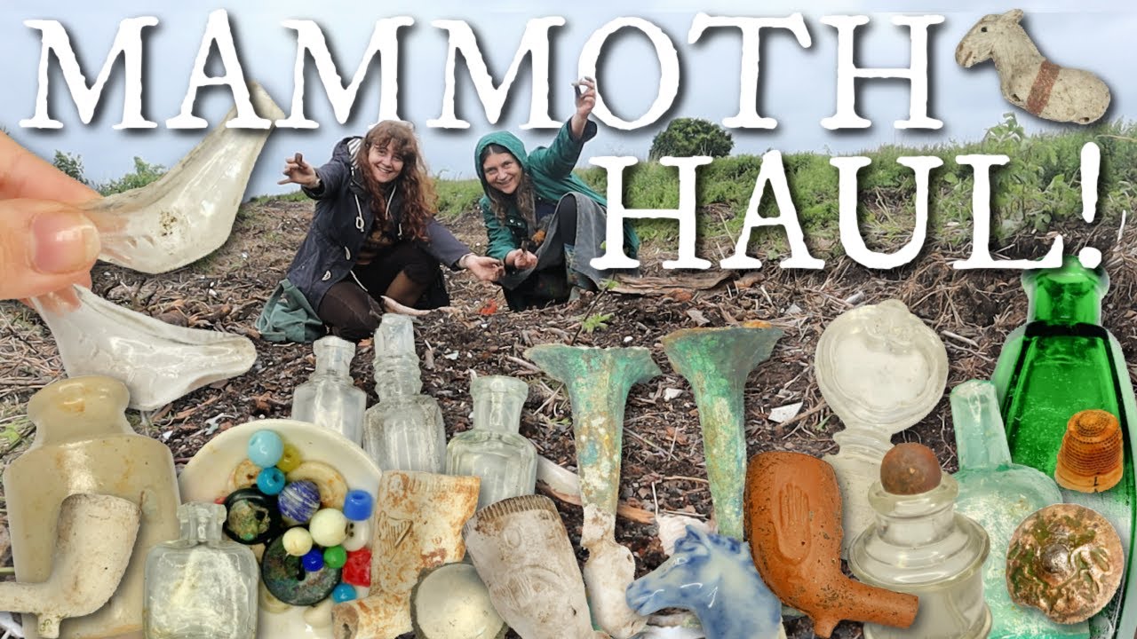 The Trees Are All GONE! What Was Revealed? MASSIVE Bottle Dump Haul!