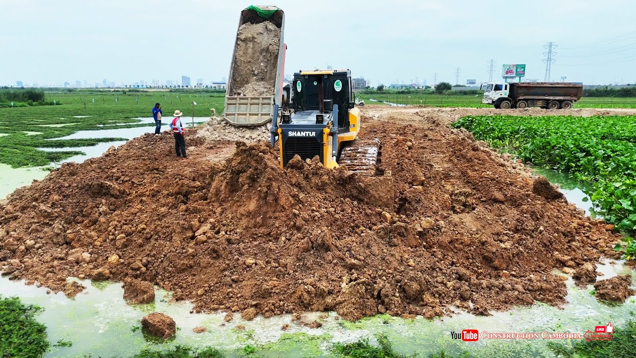 Incredible! Heavy SHANTUI Dozer Push Soil And 25t Dump Trucks Dumping Soil Making Road Around Water