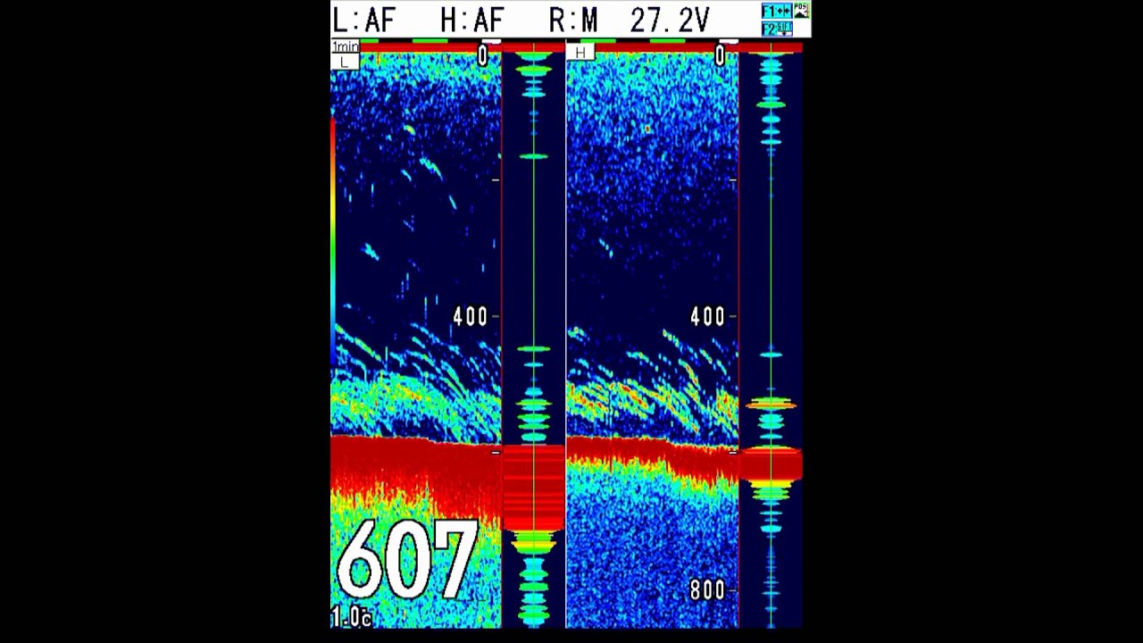 Koden CVS-128 Hake Fishing off Washington Coast