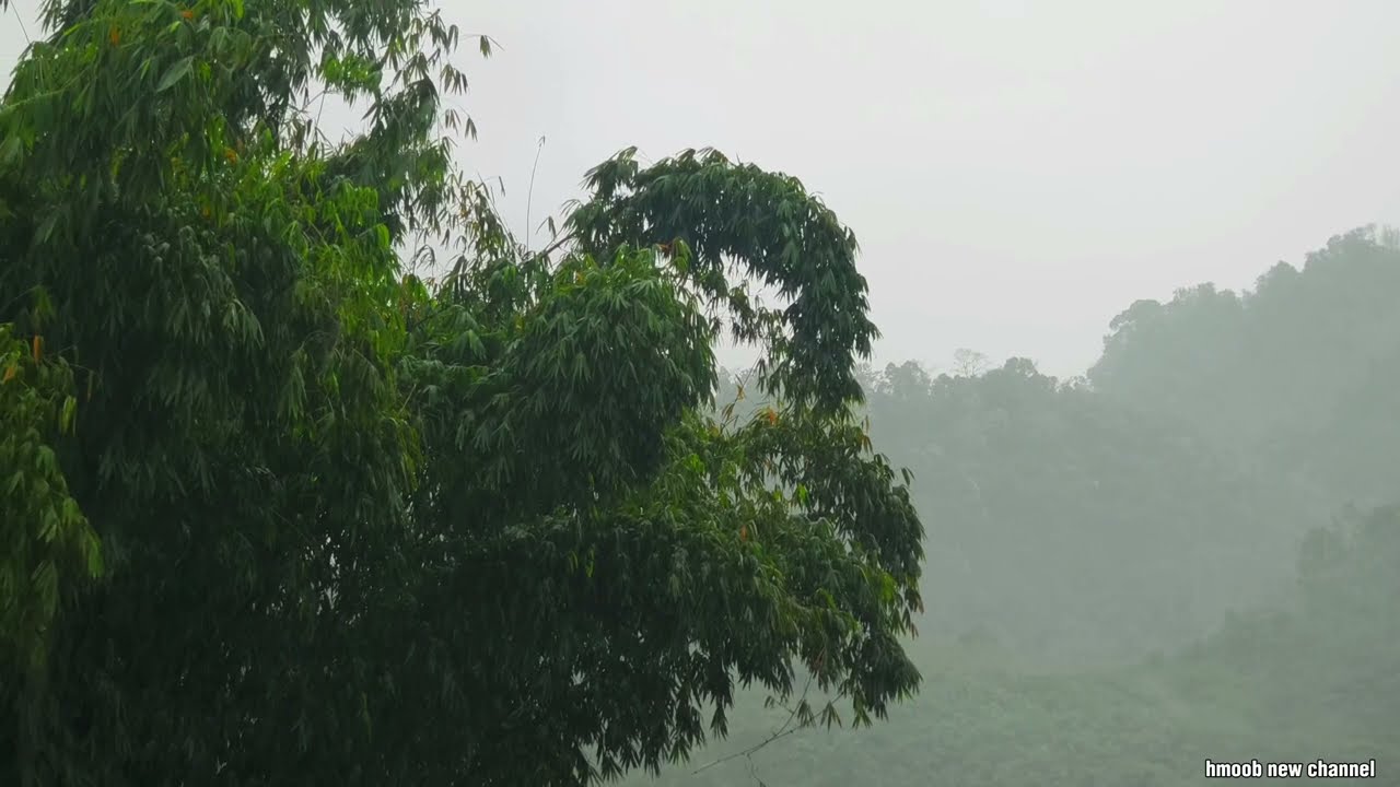 Vam txuv lawv tuaj nce khaib pham pooj 1969