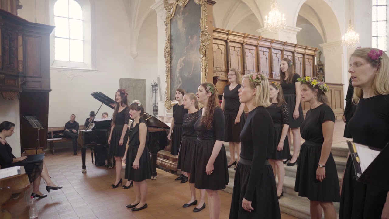 Voices Auftritt Sch&ouml;nenwerd