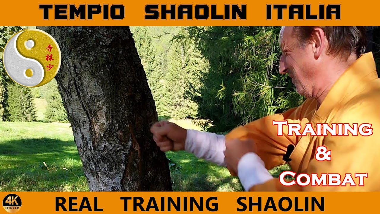 Shaolin Real Training