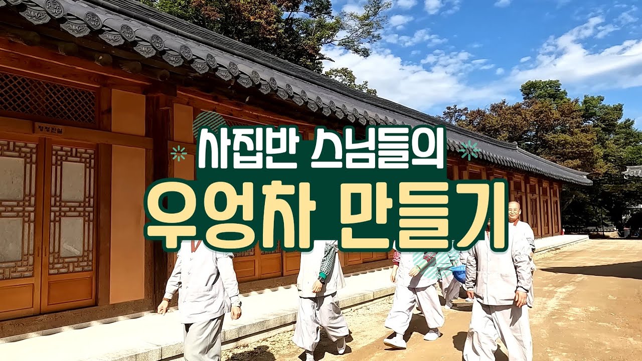 특집다큐 운문사 사집반 스님들의 우엉차 만들기 1편 (감성Vlog)