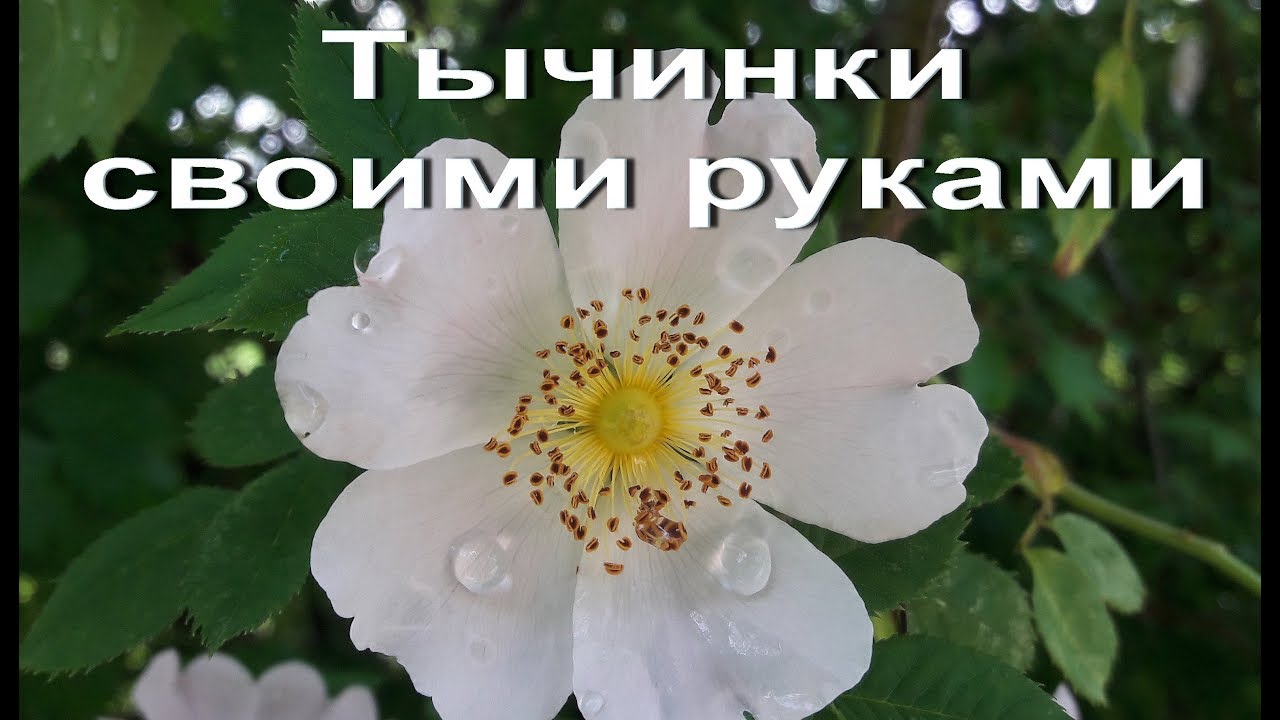 Тычинки своими руками, легкий и быстры способ. DIY
