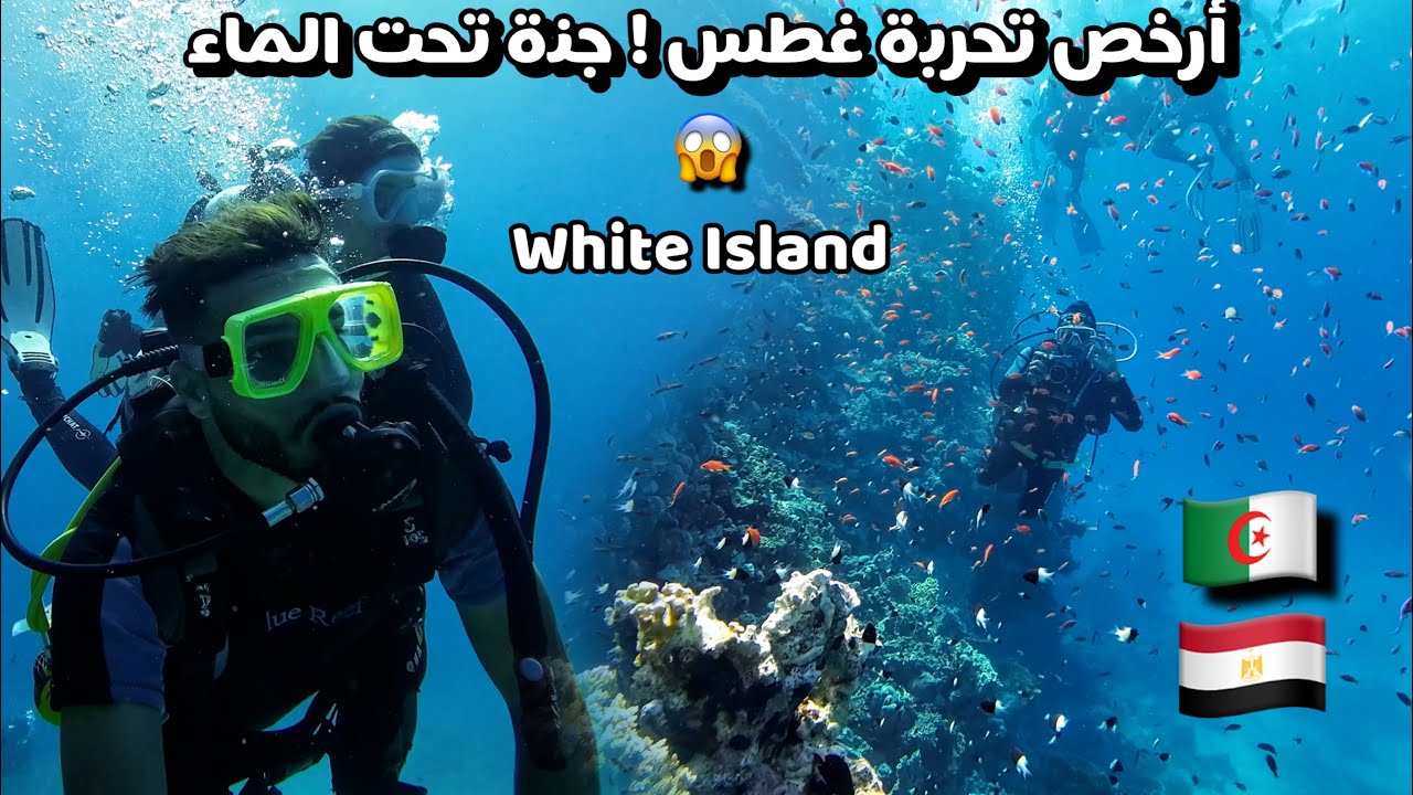 Сноркелинг в Рас-Мохаммед и на Белом острове 🇪🇬 | Скрытый рай Египта по доступной цене!