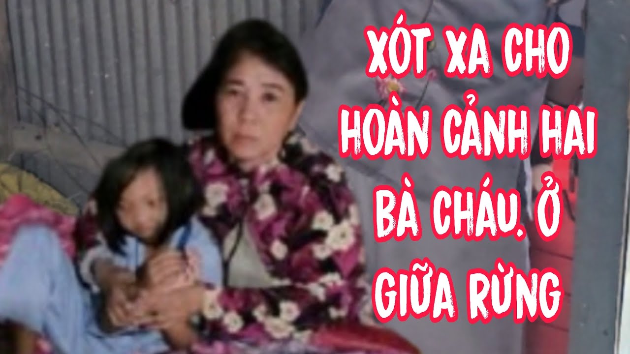 Xót xa giữa rừng núi cấm một người phụ nữ và cháu ngoại câm tết không có gạo ăn 