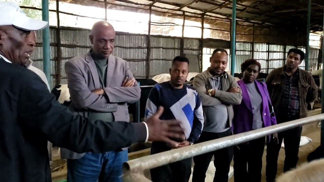 የክልሉ ብልጽግና ፓርቲ ቅ/ጽ/ቤት ድጋፋዊ ክትትል ቡድን በቦዲቲ ከተማ በመገኘት የ100 ቀናት ዕቅድ ተግባራት አፈጻጸም ግምገማ መነሻ ያደረገው መስክ ምልከታ 