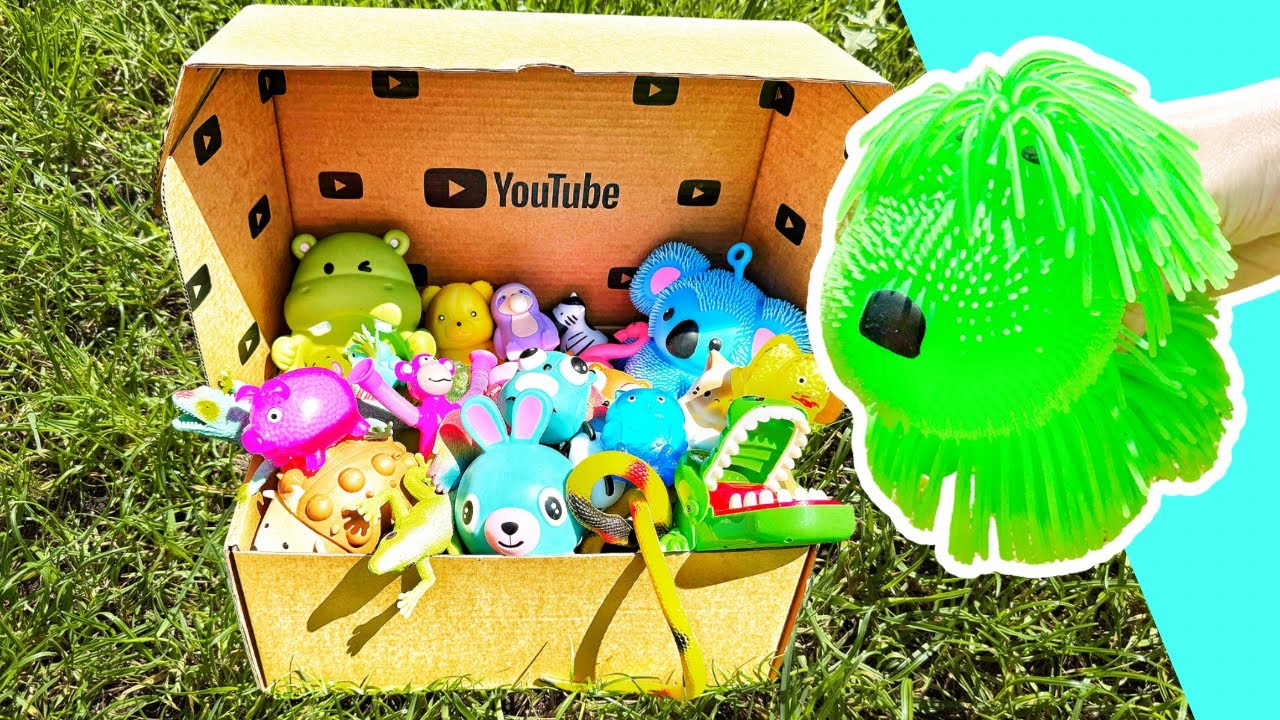 Learn Animal Names for Babies Toddlers Preschoolers Kids: Owl Hedgehog Elephant Monkey