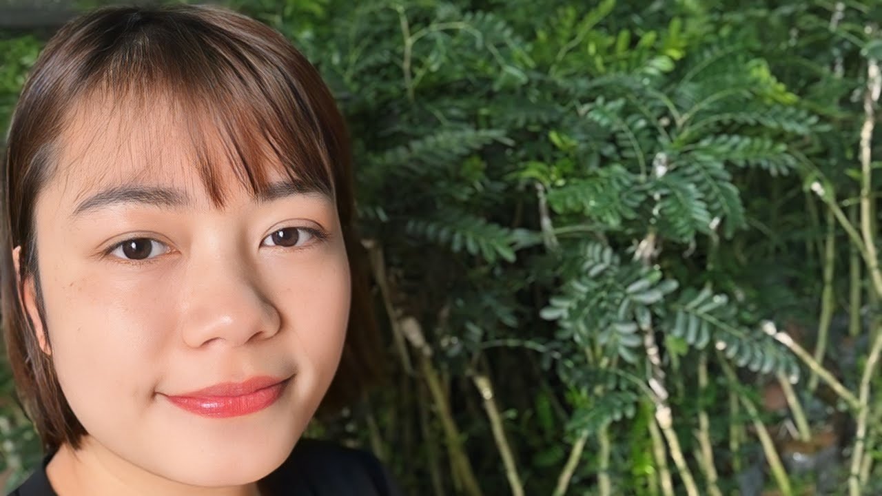 khai xuân 1500 cây bồ kết ghép nhỏ và 500 cây ghép nhỡ