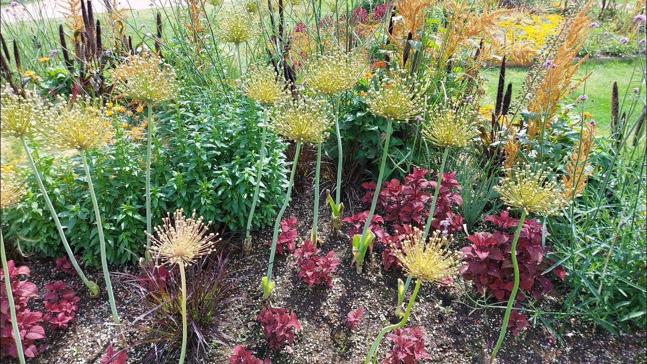 Landesgartenschau Furth im Wald 2025