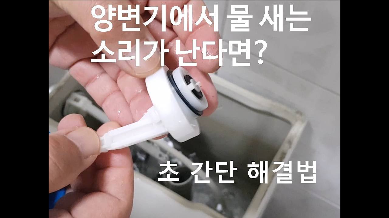 양변기에서 물 새는 소리가 난다면 ?